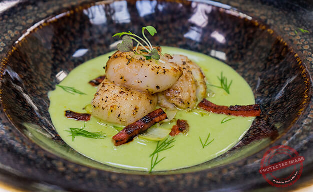scallops