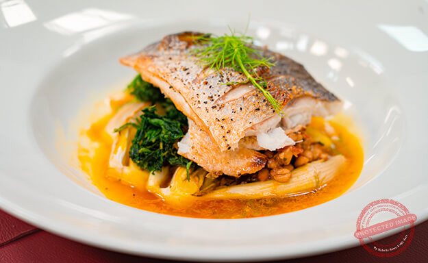 seabass